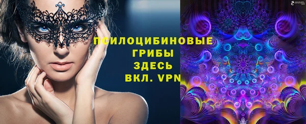 синтетический гашиш Елабуга