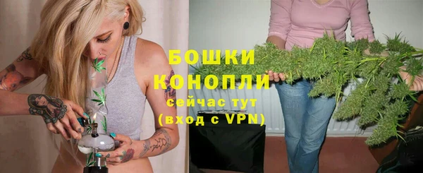 крисы Заводоуковск